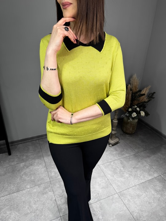 Gömlek Yaka Triko 3163