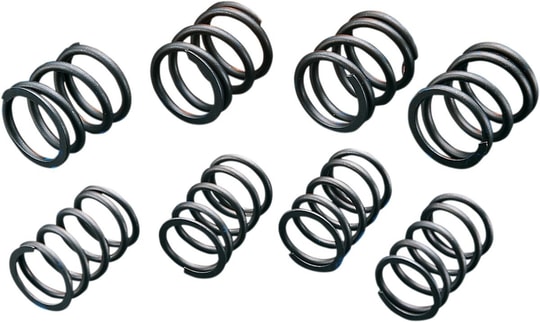 ANDREWS H-LFT 74/80 SPRINGS KOD: 272110