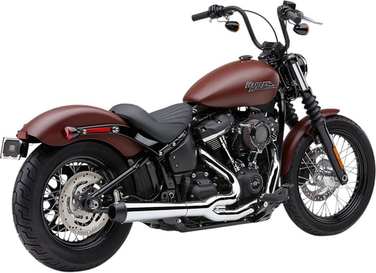COBRA EXH ED CH FLHC FLSB 18-19 KOD: 18002294