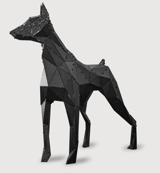 Doberman Siyah