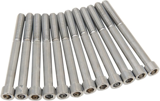 DRAG SPECIALTIES BOLT SETİ M8CRKCAS S AL CH KOD: 24010973
