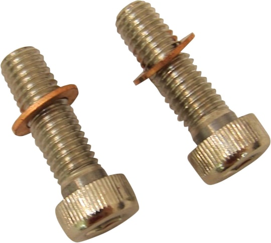 DRAG SPECIALTIES SCREWS W/WSHRS DMPR TB KOD: 24010851