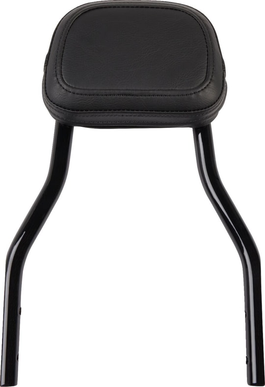 backrest-de-rnd-bk-flhcs-a4c51e.jpg
