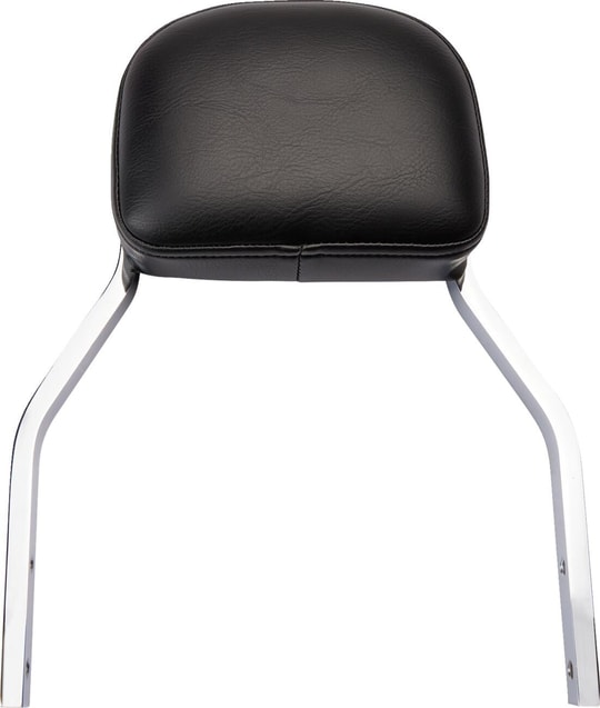 backrest-det-mini-flhcs-9b814e.jpg
