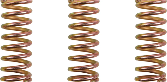 BARNETT CLUTCH SPRING KIT / DEBRİYAJ YAYI KIT DUCATI KOD: 11312300