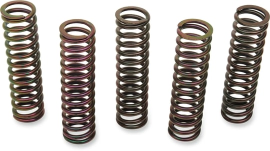 BARNETT CLUTCH SPRING KIT / DEBRİYAJ YAYI KIT SUZ KOD: 5015905098