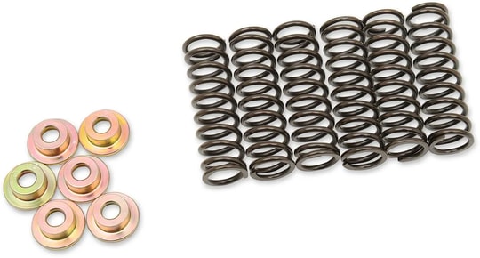 BARNETT CLUTCH SPRING SET / DEBRİYAJ YAYI SET YAM KOD: 11310643