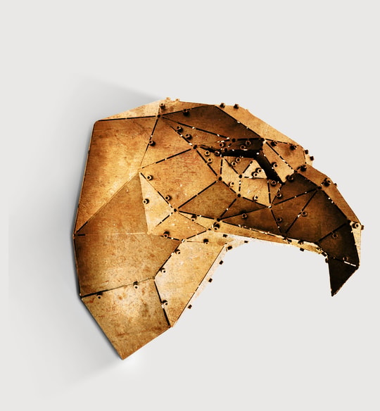 Eagle Head Gold