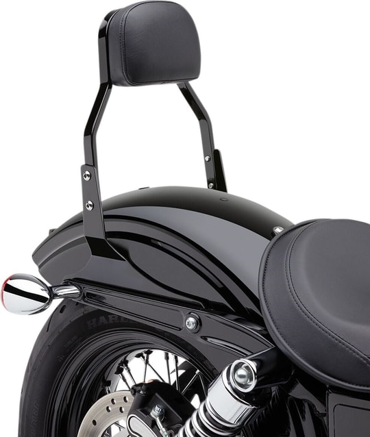 sissy-bar-mini-blk-sftail-55a16d.jpg