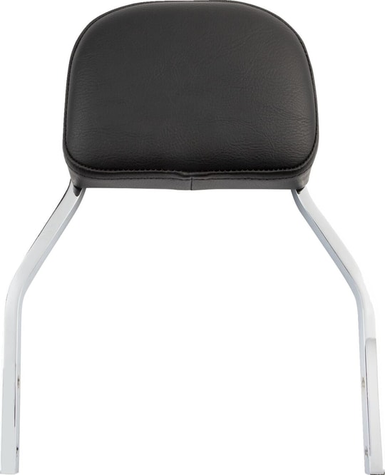 sissy-bar-mini-xl-04-19-69f250.jpg