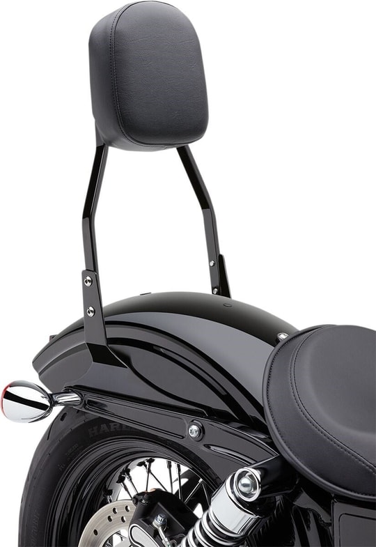 sissy-bar-std-blk-sftail-1d-476.jpg