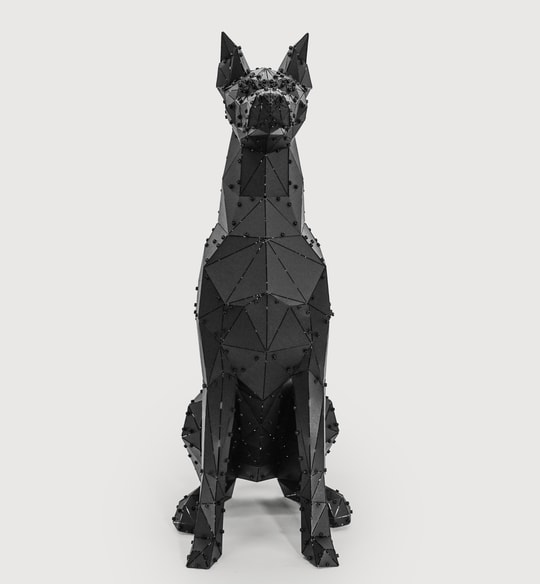 Sitting Doberman