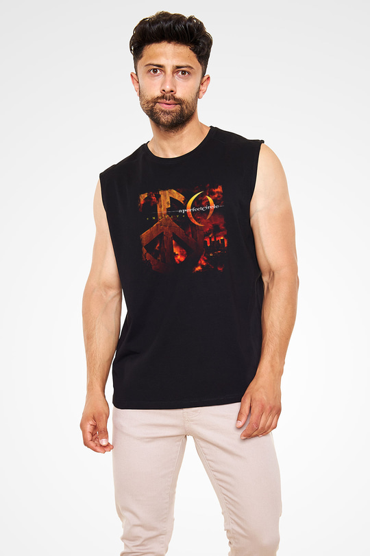 A Perfect Circle Baskılı Unisex Siyah Kolsuz Tişört