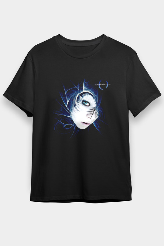 A Perfect Circle Baskılı Unisex Siyah Tişört