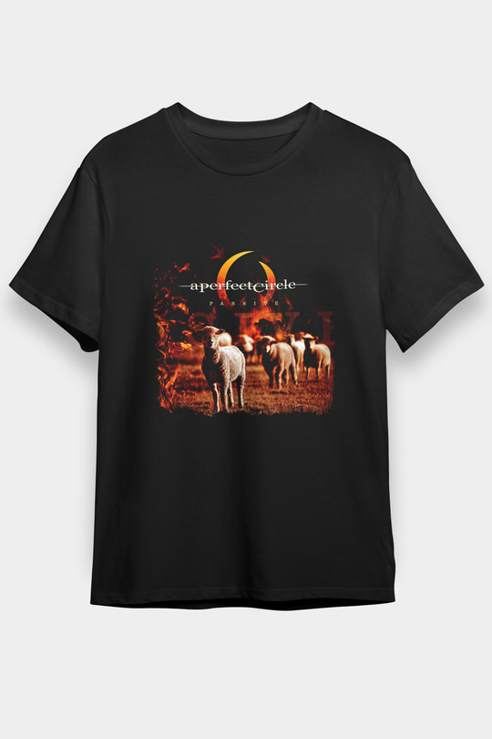 A Perfect Circle Baskılı Unisex Siyah Tişört