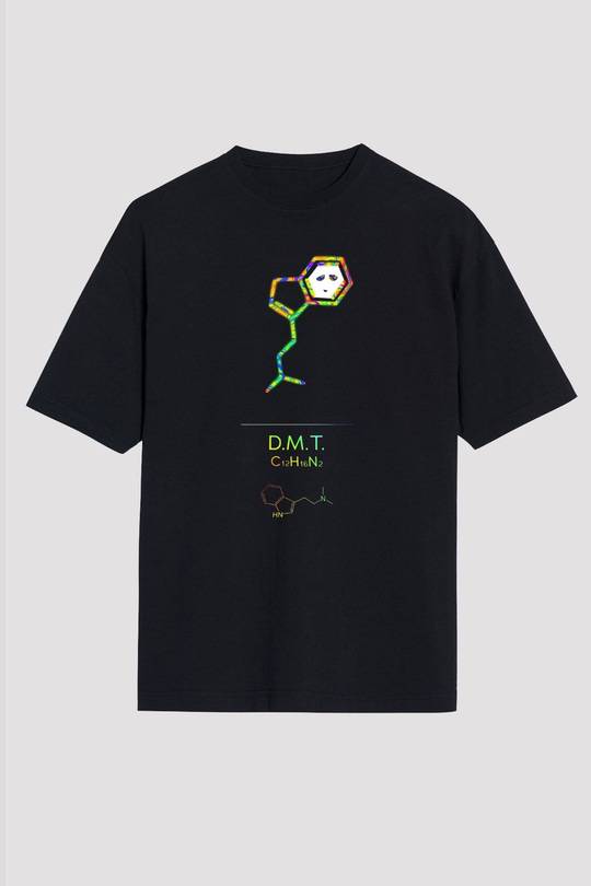 Dimetiltriptamin Molekülü Baskılı Unisex Oversize Tişört - Tshirt