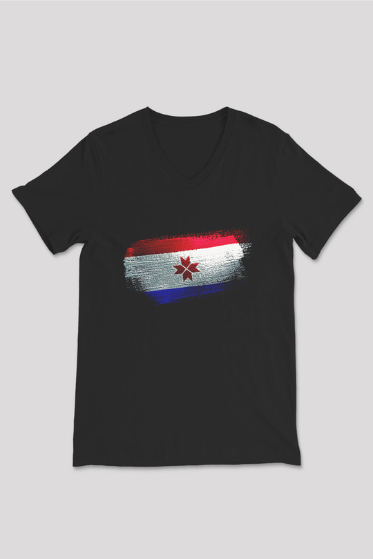 Mordovya - Mordovia Bayrağı Baskılı Unisex Siyah V Yaka Tişört