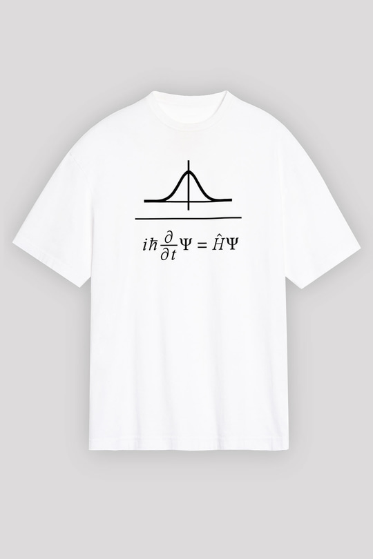 Schrödinger Dalga Denklemi Baskılı Unisex Oversize Beyaz Tişört - Tshirt