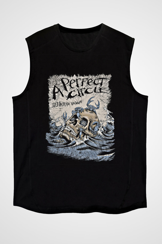 A Perfect Circle Baskılı Unisex Siyah Kolsuz Tişört