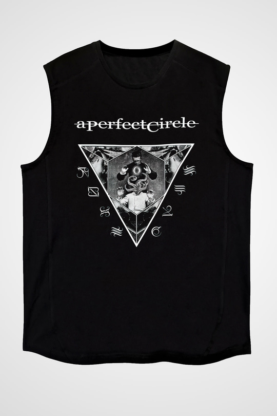 A Perfect Circle Siyah Unisex Kolsuz Tişört