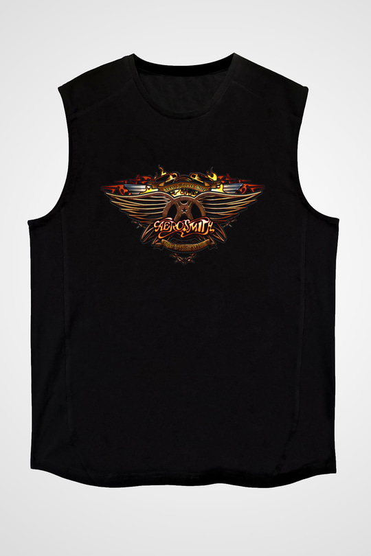 Aerosmith Siyah Unisex Kolsuz Tişört