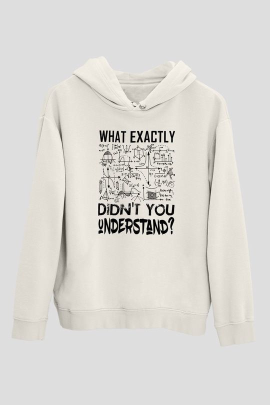 Fizik Grafikler Denklemler Baskılı Unisex Ekru Hoodie