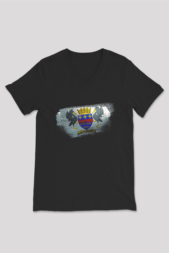 Saint Barthelemy Bayrağı Baskılı Unisex Siyah V Yaka Tişört