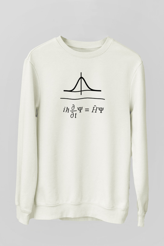 Schrödinger Dalga Denklemi Baskılı Unisex Ekru Sweatshirt