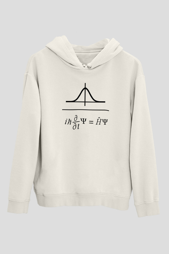Schrödinger Dalga Denklemi Baskılı Unisex Ekru Hoodie