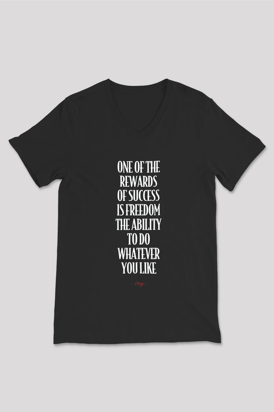 Sting Baskılı Unisex Siyah V Yaka Tişört - Tshirt