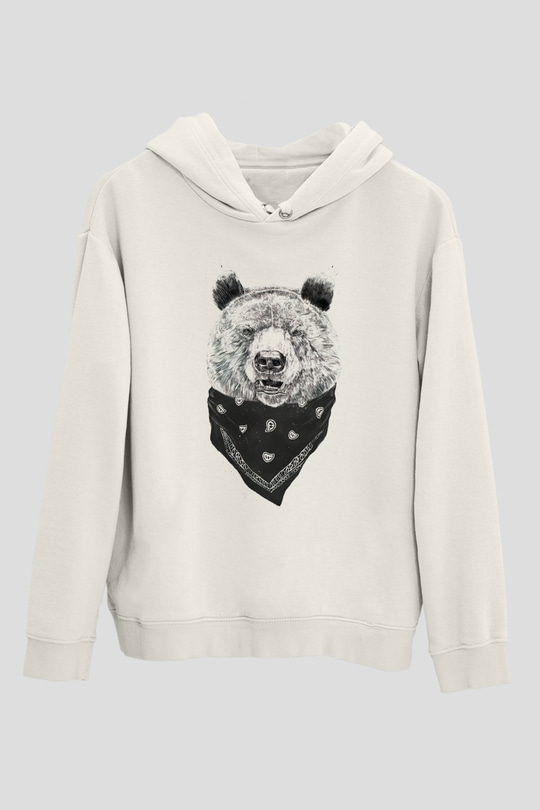Tasarım Kapşonlu Sweatshirt TSR236