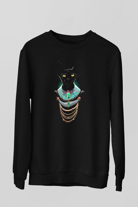Unisex Sweatshirt TSR38