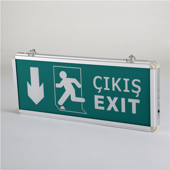 Cata CT-9167 Aşağı Ok Çift Yönlü Acil Yönlendirme Armatürü