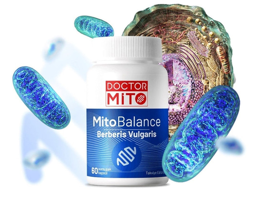 Takviye Edici GıdalarVoonkaDoctor Mito MitoBalance Berberis Vulgaris 60 Kapsül