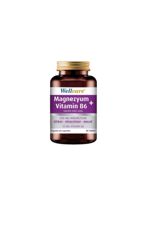 Wellcare Magnezyum + Vitamin B6 60 Tablet