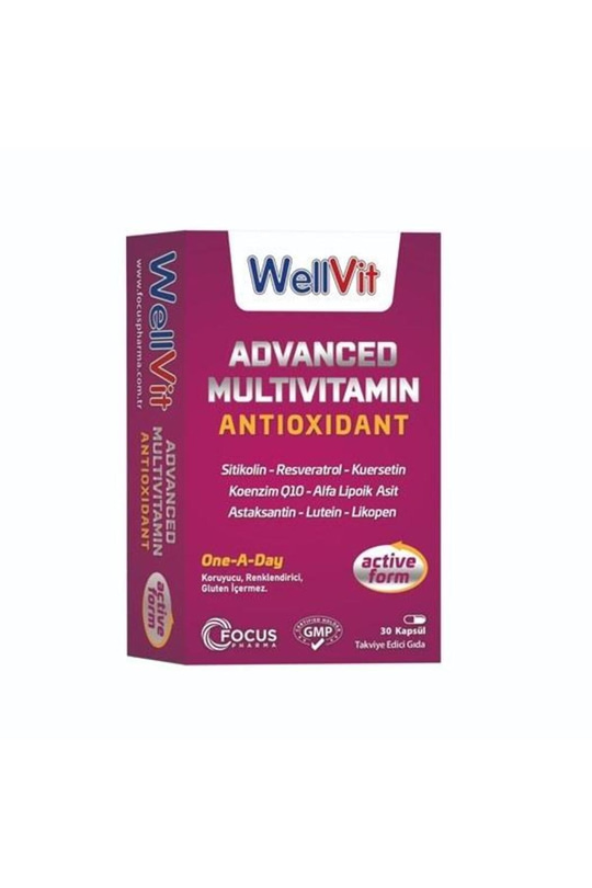 Wellvit Advanced Multivitamin Antioxidant 30 Kapsül