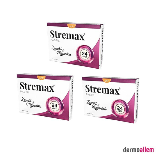 PastillerSantasyaStremax Pastil Zencefil & Meyanbalı 24 Adet 3 Adet