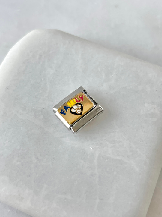 Çelik Family Nomi Charm