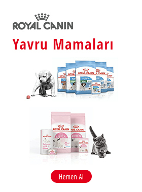 Royal Canin Türkiye Sayfası Bilgileri