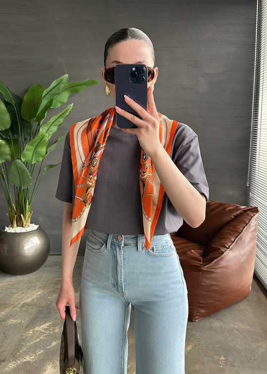 Premium Dilvin Basic Tshirt FÜME