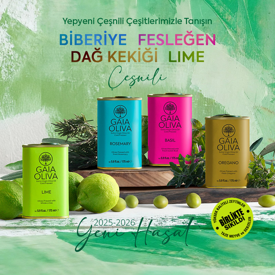 Doğal Katkısız Ödüllü Zeytinyağı Ürünleri Online Mağaza | Gaia Oliva