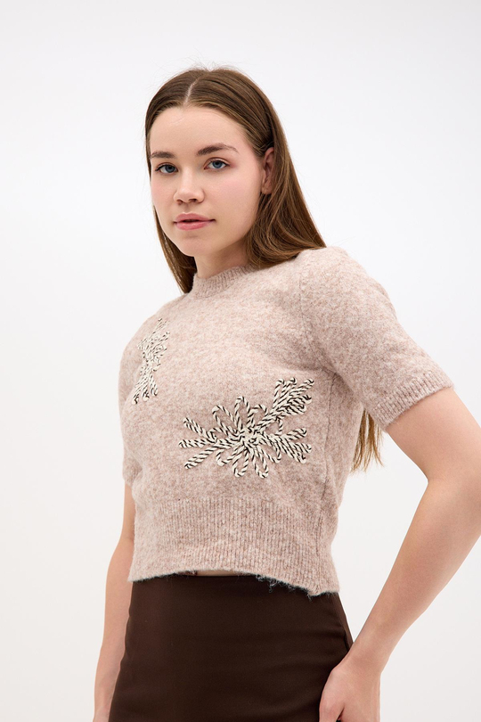 Kısa Kollu İşleme Detaylı Bisiklet Yaka Crop Triko