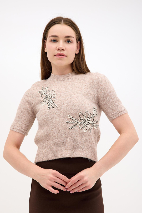 Kısa Kollu İşleme Detaylı Bisiklet Yaka Crop Triko