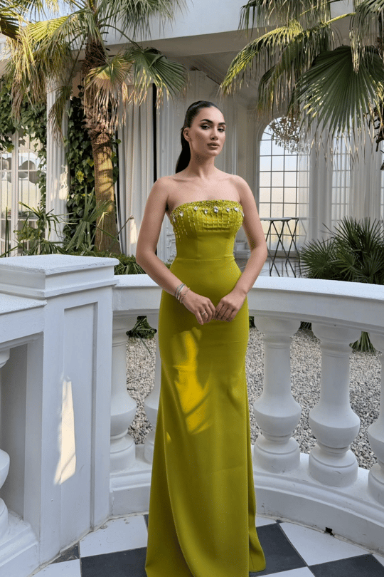 Ayda Straplez Taş İşlemeli Abiye 1059