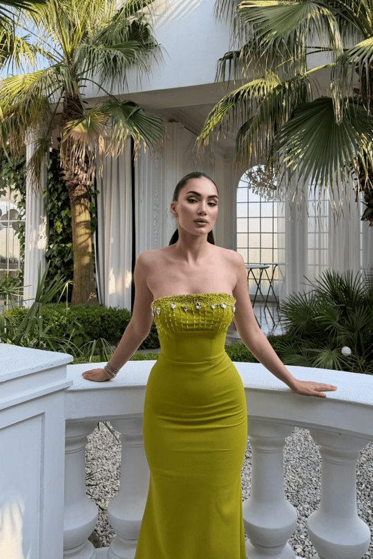 Ayda Straplez Taş İşlemeli Abiye 1059
