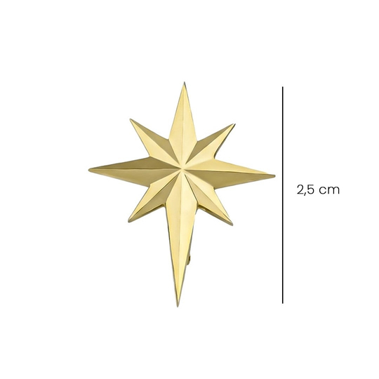 Ema Kuzey Yıldızı Altın Küpe 2,5 Cm