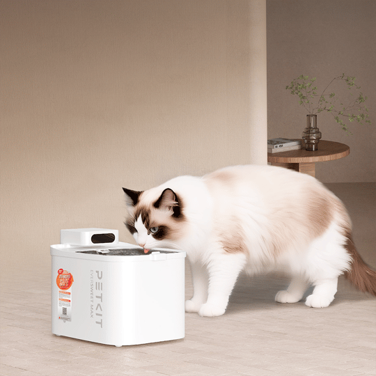 Petkit Eversweet Max 2 (UVC) Kedi Su Pınarı