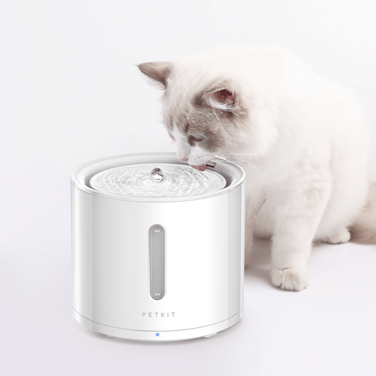 Petkit Eversweet Solo 2 Akıllı Kedi Su Pınarı