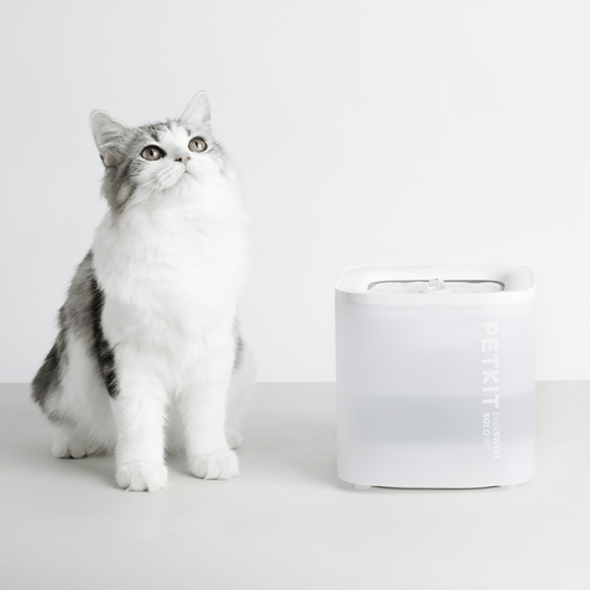 Petkit Eversweet Solo SE Kedi Su Pınarı Beyaz