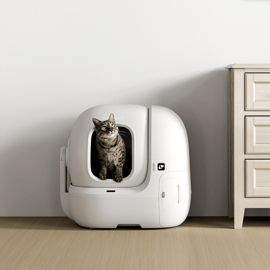 Petkit Purobot Max Pro Akıllı Kedi Tuvaleti